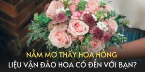 Giải mã giấc mơ thấy hoa hồng: Thông điệp giấc mơ gửi gắm