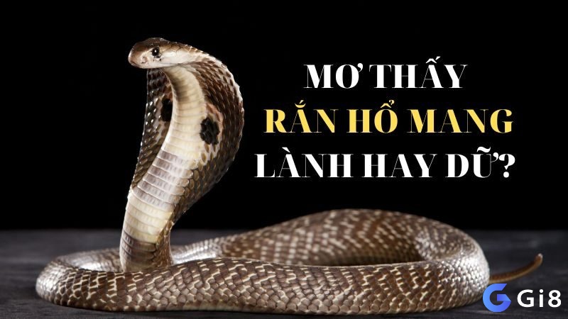 Giải mã giấc mơ thấy rắn hổ mang là lành hay là dữ? 