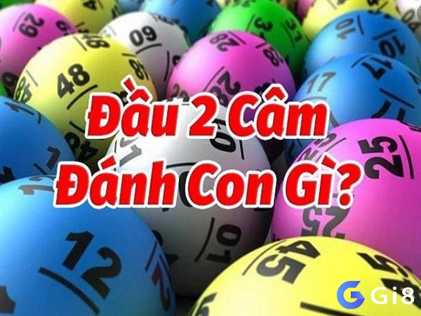 Giải đáp đâu cầm 2 mai đánh con gì chi tiết