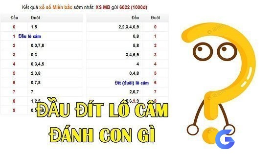 Bạn đã bao giờ thắc mắc đầu câm đuôi câm nên đánh con gì?