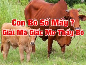 Mơ thấy con bò đánh số gì: Ý nghĩa, con số may mắn liên quan