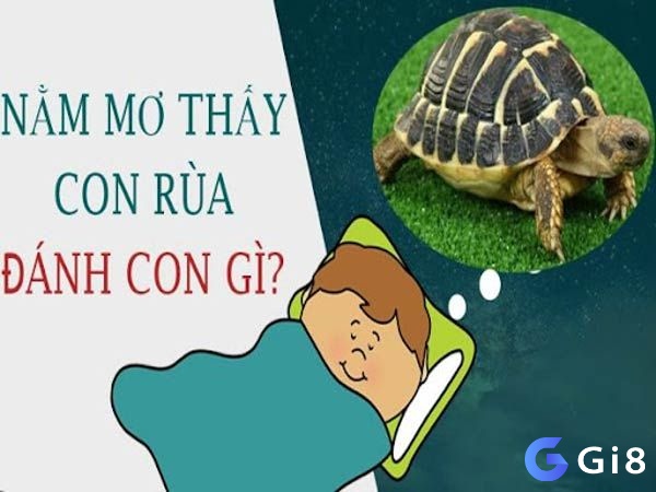 nếu gặp rùa vàng, thì hãy liên kết nó với các số 54 và 78.