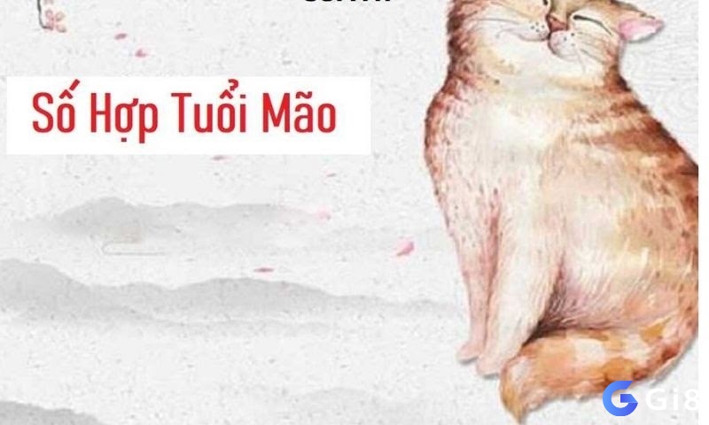 Nắm thông tin về Tuổi mão hôm nay đánh số gì để áp dụng hiệu quả