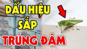 Châu chấu vào nhà đánh số gì: Khám phá thông điệp giấc mơ