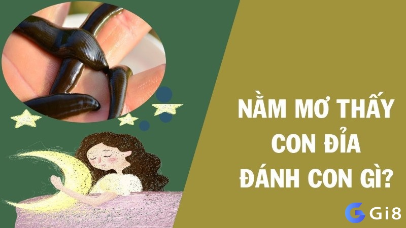 Giải mã nằm mơ thấy đỉa đánh số gì cùng Gi8 nhé!