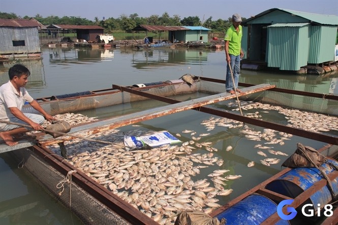 Giải mã được dựa vào tình tiết mơ xảy ra 