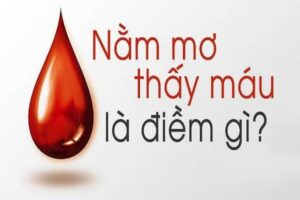 Nằm chiêm bao thấy máu: Giải mã điềm báo và con số liên quan