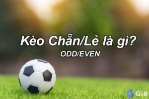 Kèo chẵn lẽ: Hướng dẫn cách xem kèo và chốt kèo hiệu quả