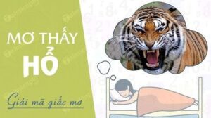 Mơ thấy hổ đánh đề con gì may mắn, dễ trúng nhất