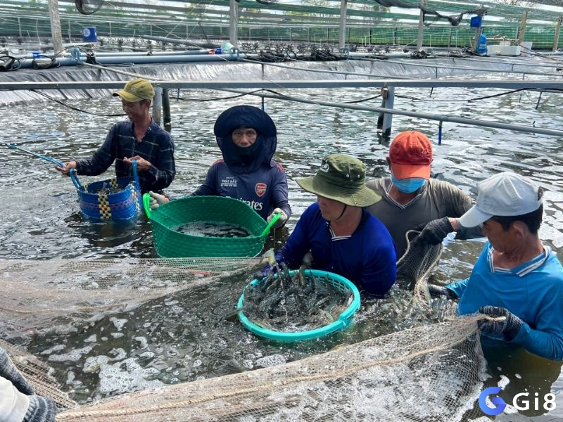 Bạn sẽ giải quyết được những vấn đề nan giải mà bạn đang đối mặt một cách nhanh chóng