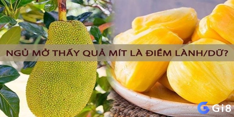 Ngủ mơ thấy quả mít phải làm sao?