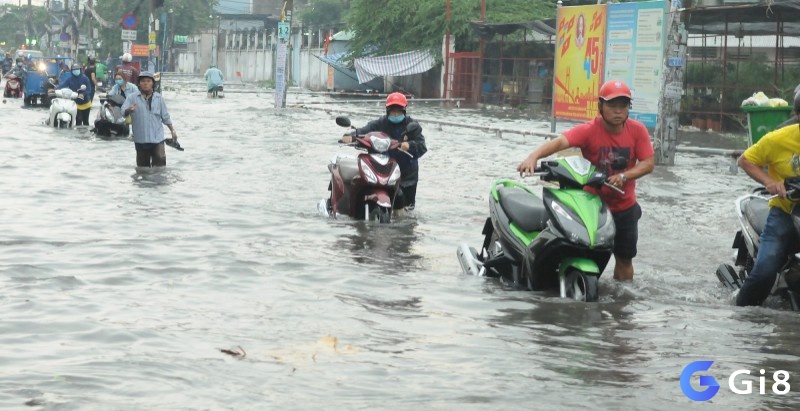 Ngủ mơ thấy nước ngập đường cho thấy bạn là người có khả năng kiểm soát cảm xúc tốt